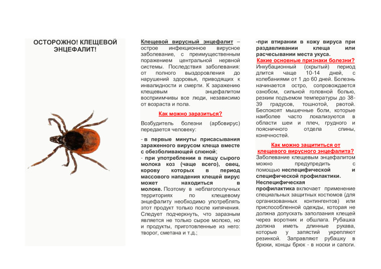 ОСТОРОЖНО КЛЕЩЕВОЙ ЭНЦЕФАЛИТ!.