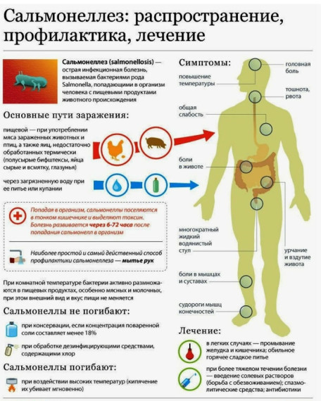 Профилактика сальмонеллеза!.